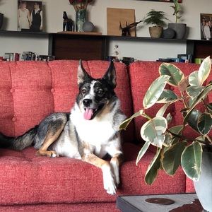 Meet your Posher, Drew